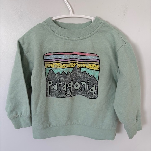 Patagonia Other - Patagonia Toddler 2T Organic Cotton Mountain Graphic Sweatshirt - Sage Green